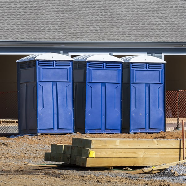 how often are the portable toilets cleaned and serviced during a rental period in Blue Eye